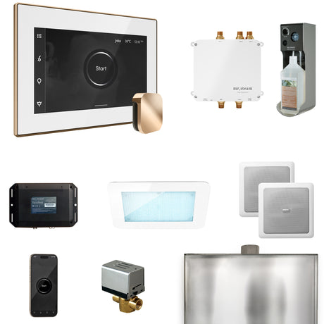 Mr. Steam Bliss Steam Shower Control Package with iSteamX Control and Steamhead Mr. Steam