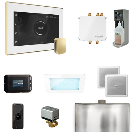 Mr. Steam Bliss Steam Shower Control Package with iSteamX Control and Steamhead Mr. Steam