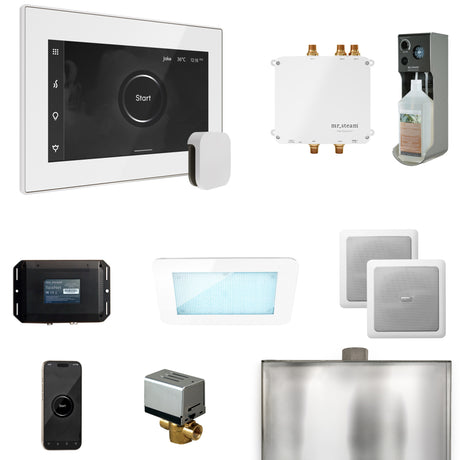 Mr. Steam Bliss Steam Shower Control Package with iSteamX Control and Steamhead Mr. Steam