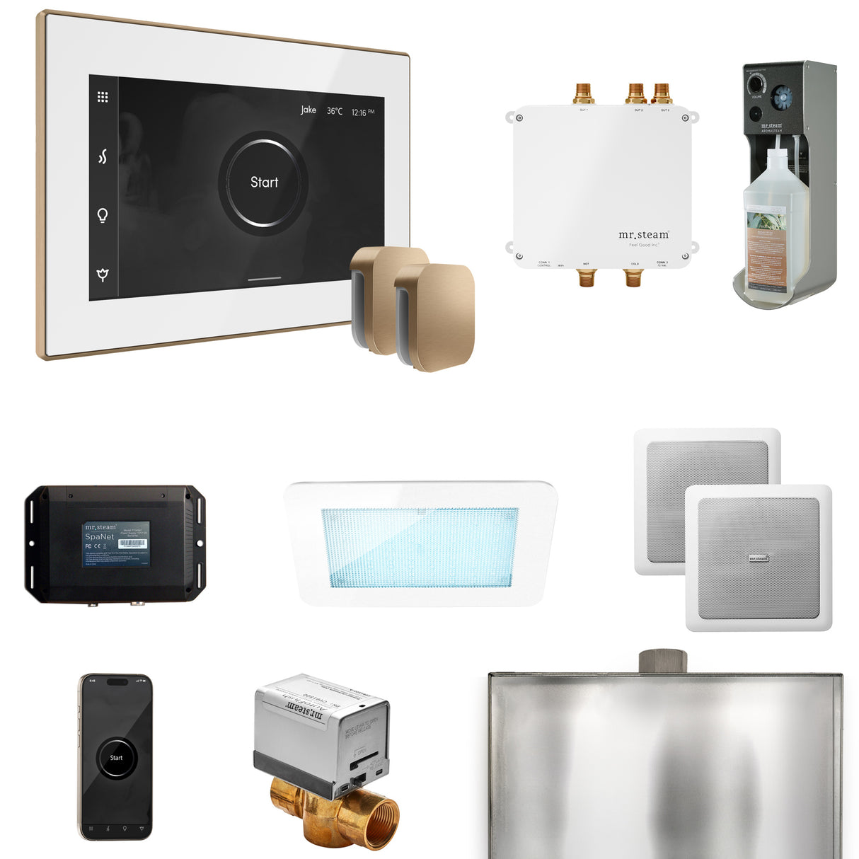 Mr. Steam Bliss Max Steam Shower Control Package with iSteamX Control and Steamhead Mr. Steam