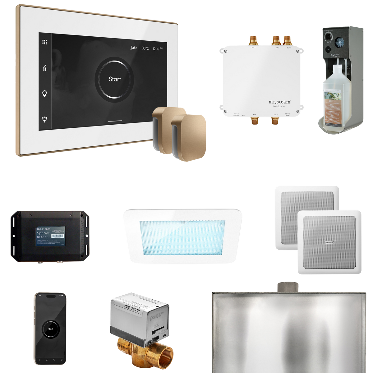 Mr. Steam Bliss Max Steam Shower Control Package with iSteamX Control and Steamhead Mr. Steam