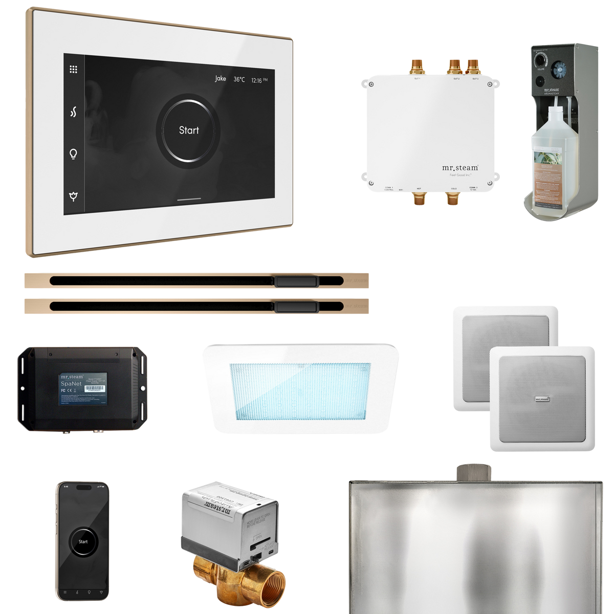 Mr. Steam Bliss Max Steam Shower Control Package with iSteamX Control and Linear Steamhead Mr. Steam