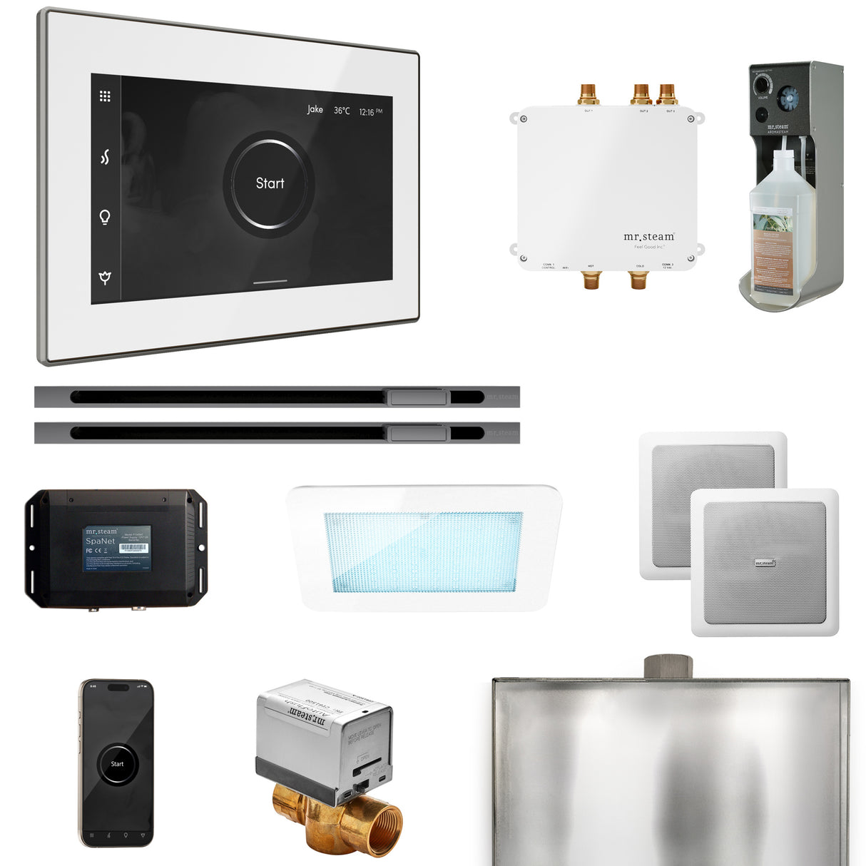 Mr. Steam Bliss Max Steam Shower Control Package with iSteamX Control and Linear Steamhead Mr. Steam