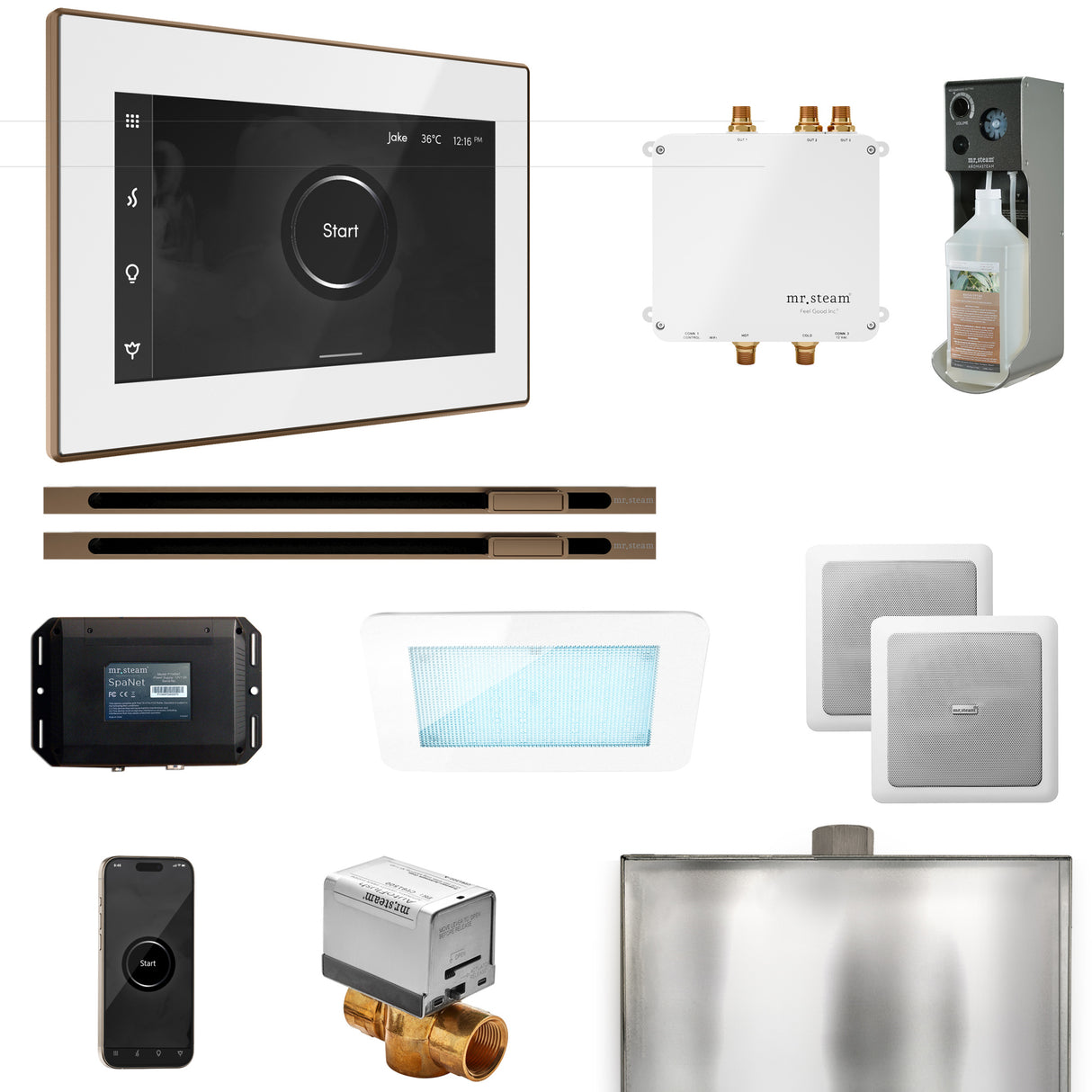 Mr. Steam Bliss Max Steam Shower Control Package with iSteamX Control and Linear Steamhead Mr. Steam