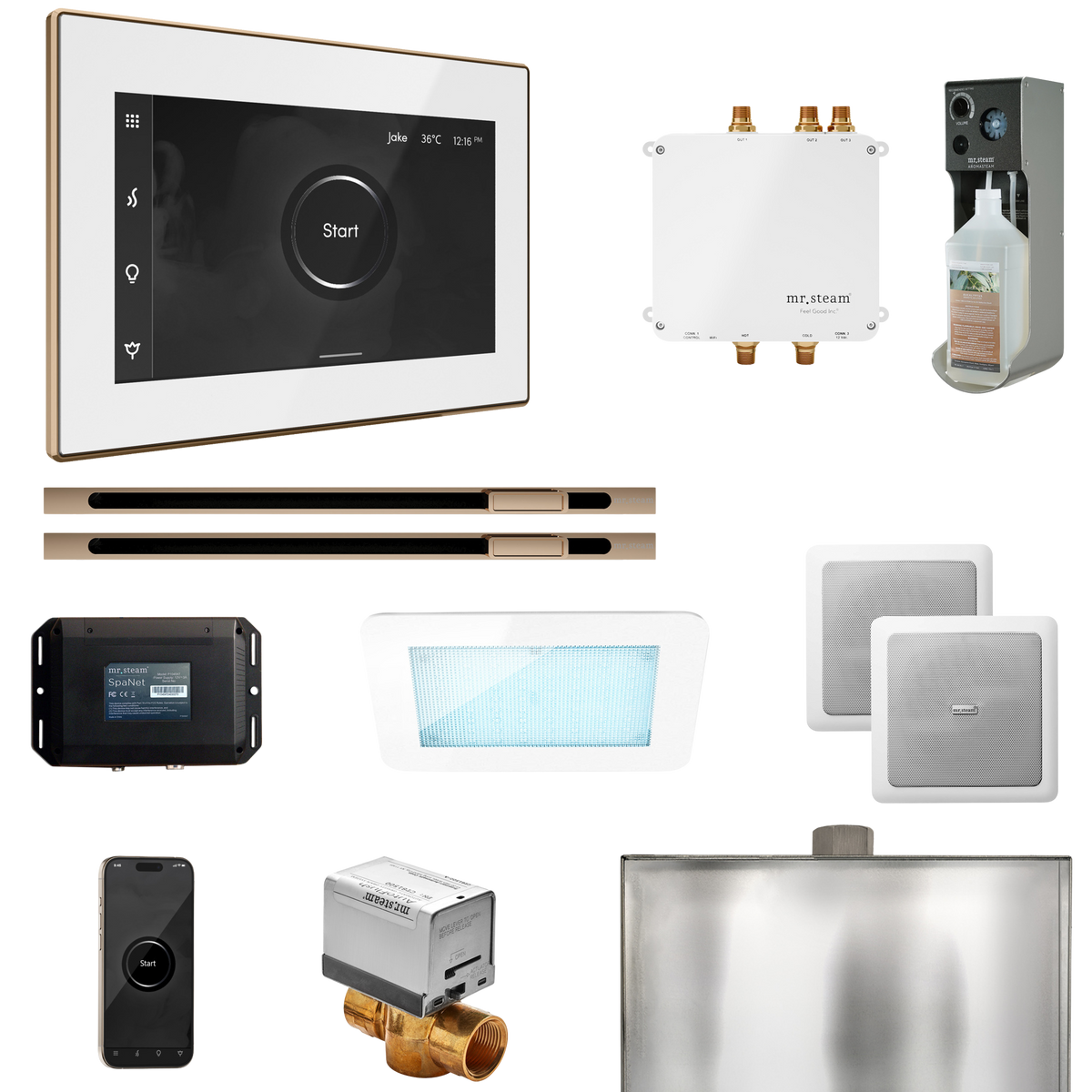 Mr. Steam Bliss Max Steam Shower Control Package with iSteamX Control and Linear Steamhead Mr. Steam