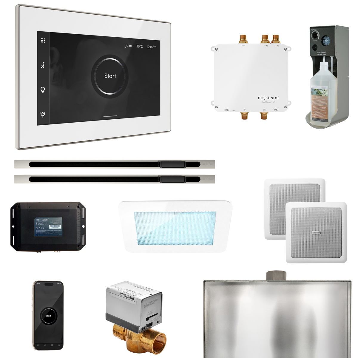 Mr. Steam Bliss Max Steam Shower Control Package with iSteamX Control and Linear Steamhead Mr. Steam