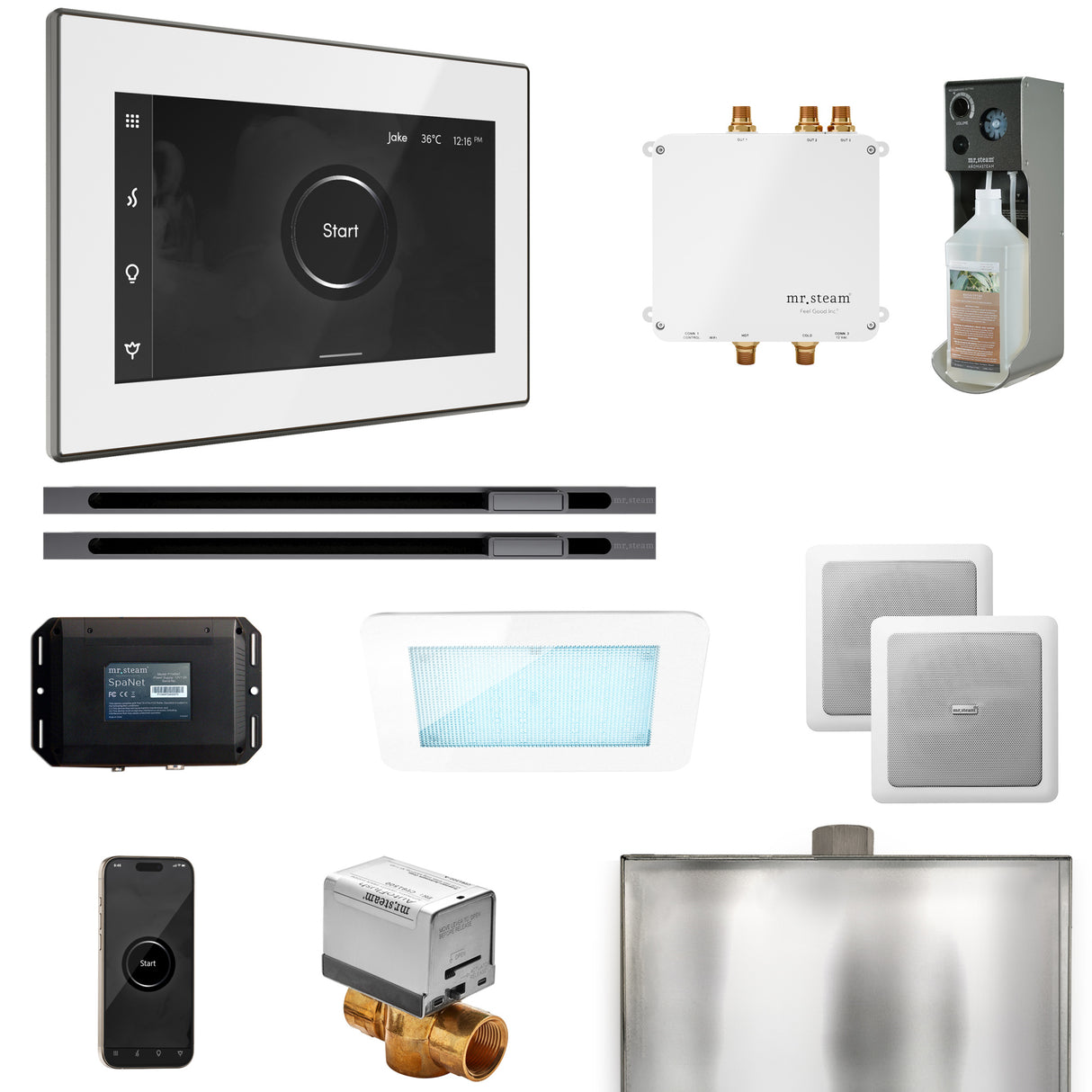 Mr. Steam Bliss Max Steam Shower Control Package with iSteamX Control and Linear Steamhead Mr. Steam