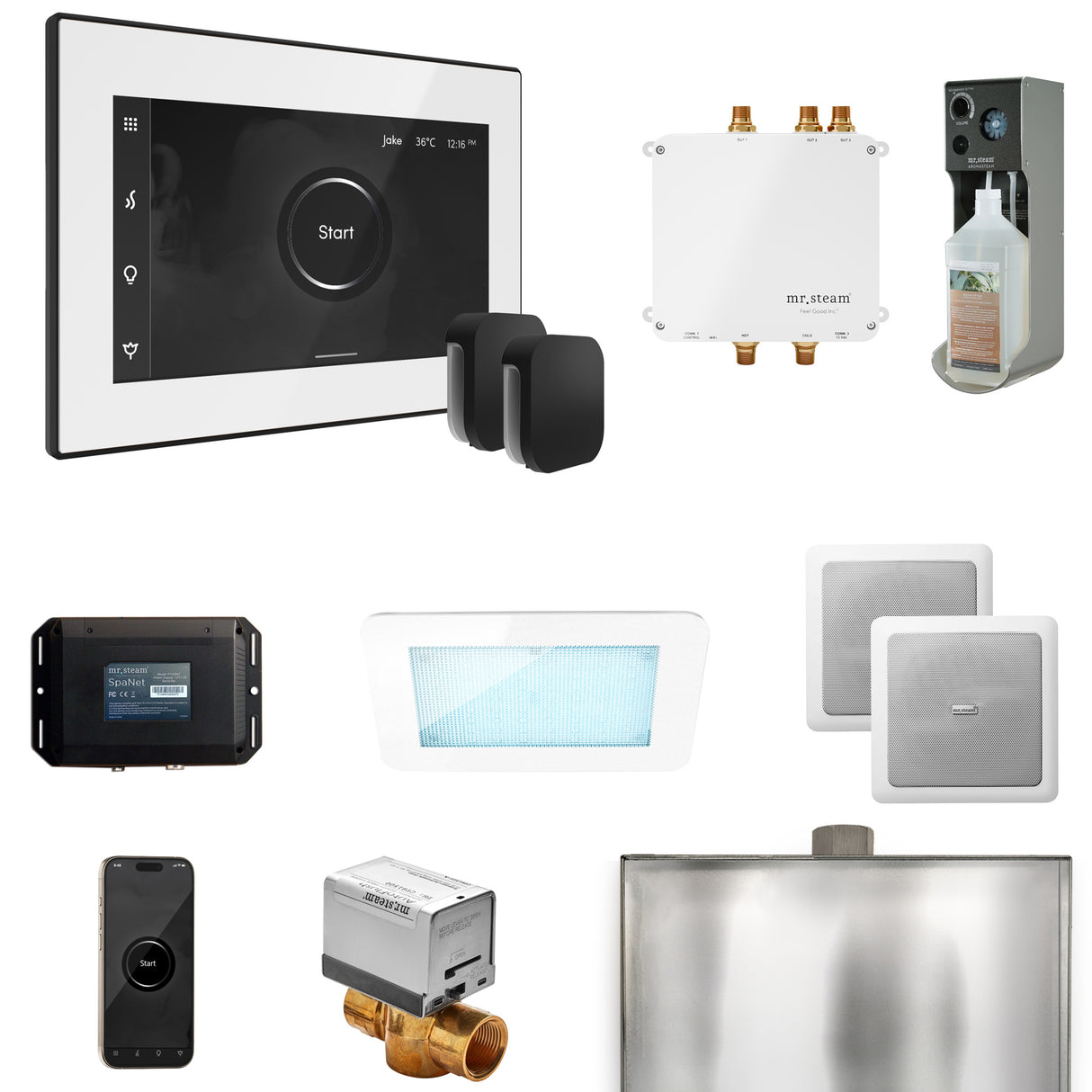 Mr. Steam Bliss Max Steam Shower Control Package with iSteamX Control and Steamhead Mr. Steam