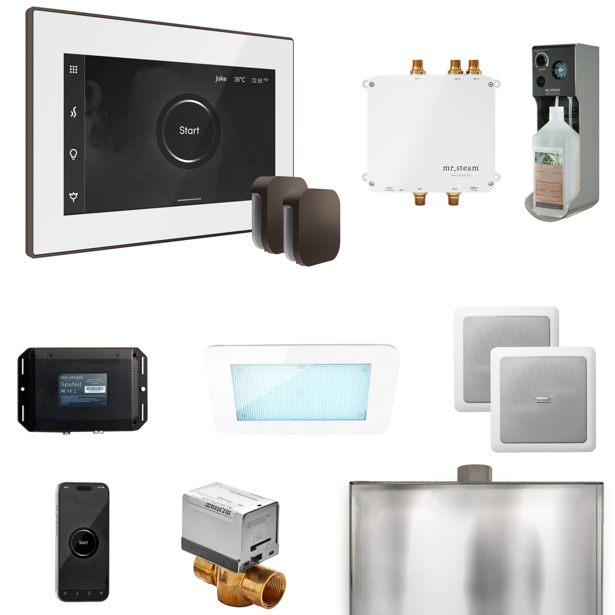 Mr. Steam Bliss Max Steam Shower Control Package with iSteamX Control and Steamhead Mr. Steam