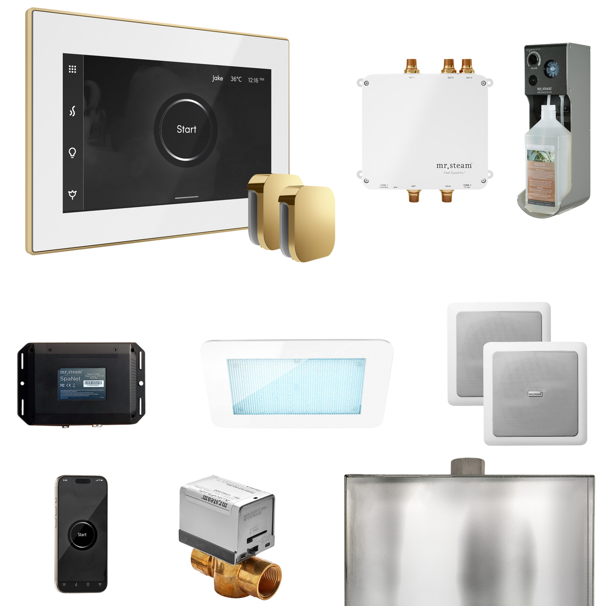 Mr. Steam Bliss Max Steam Shower Control Package with iSteamX Control and Steamhead Mr. Steam
