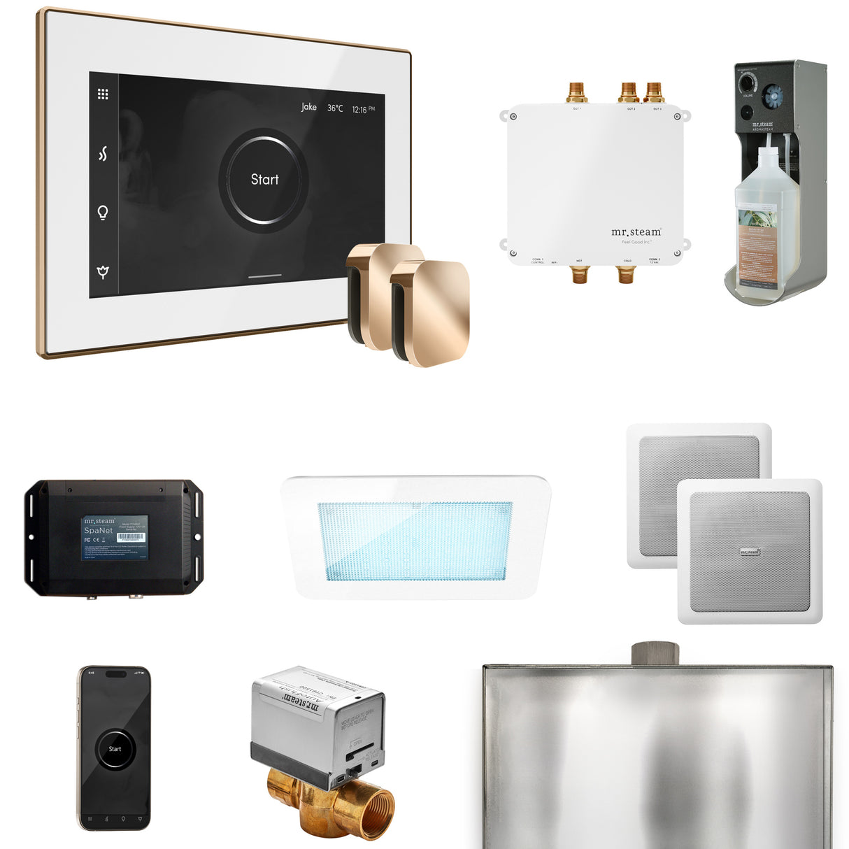 Mr. Steam Bliss Max Steam Shower Control Package with iSteamX Control and Steamhead Mr. Steam