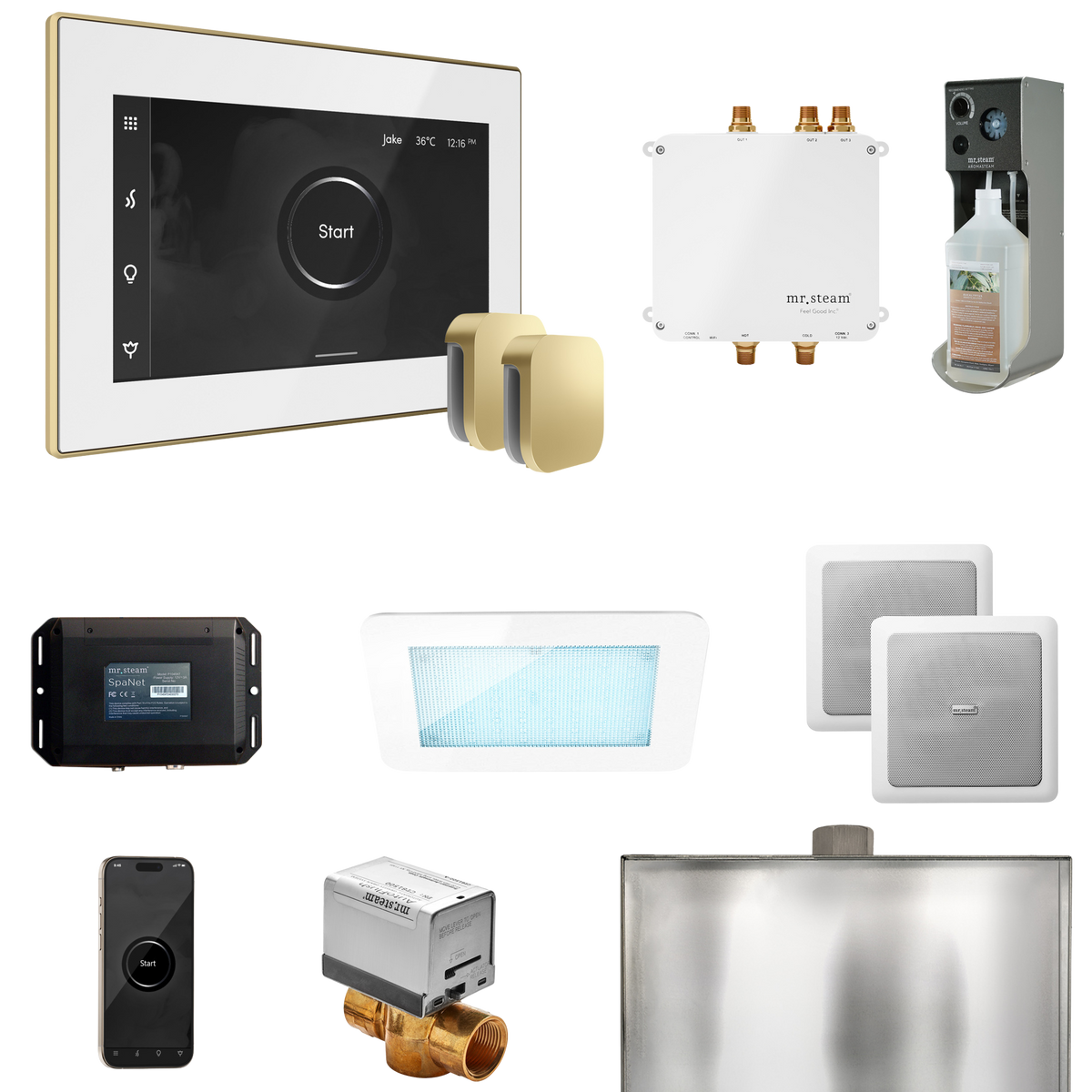 Mr. Steam Bliss Max Steam Shower Control Package with iSteamX Control and Steamhead Mr. Steam