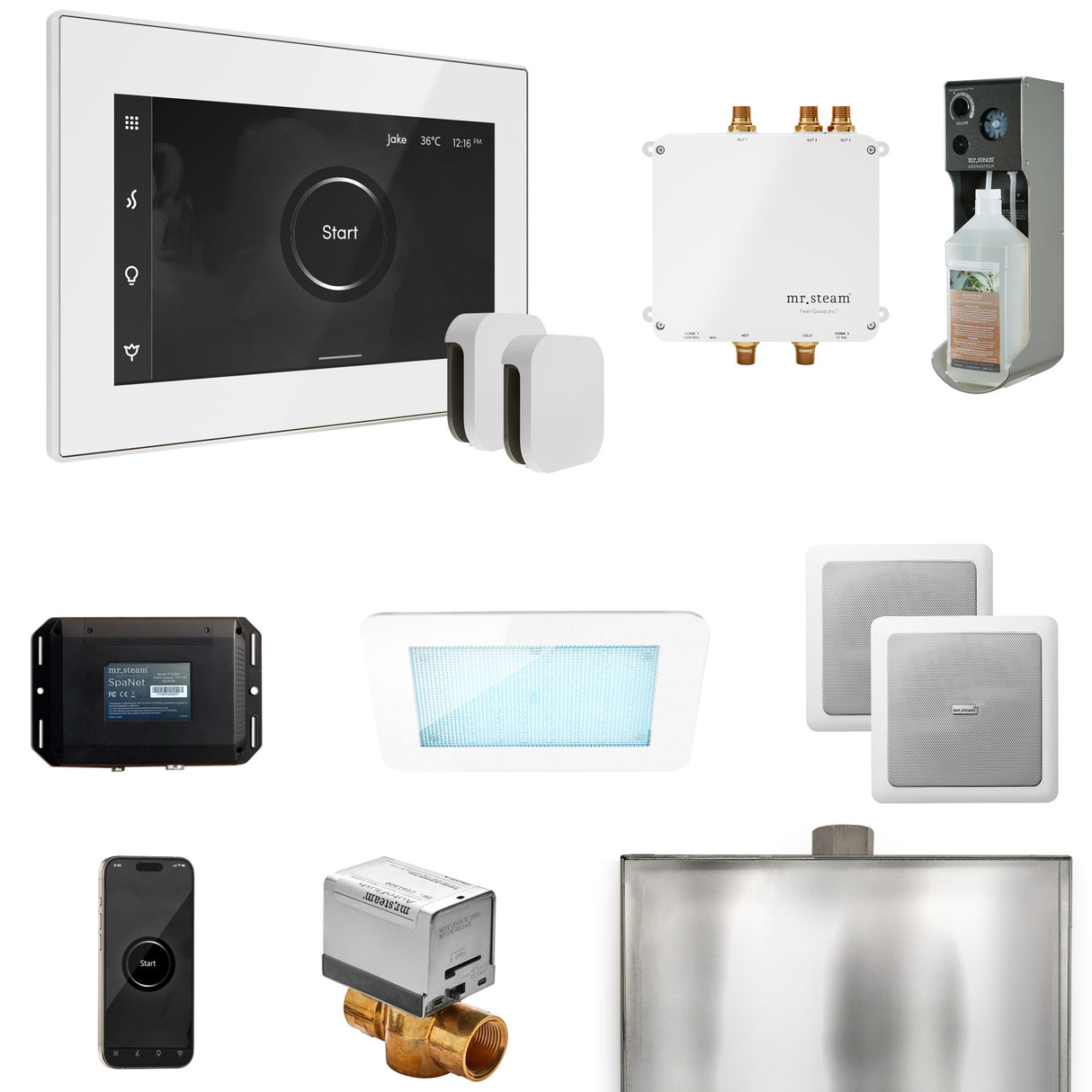 Mr. Steam Bliss Max Steam Shower Control Package with iSteamX Control and Steamhead Mr. Steam
