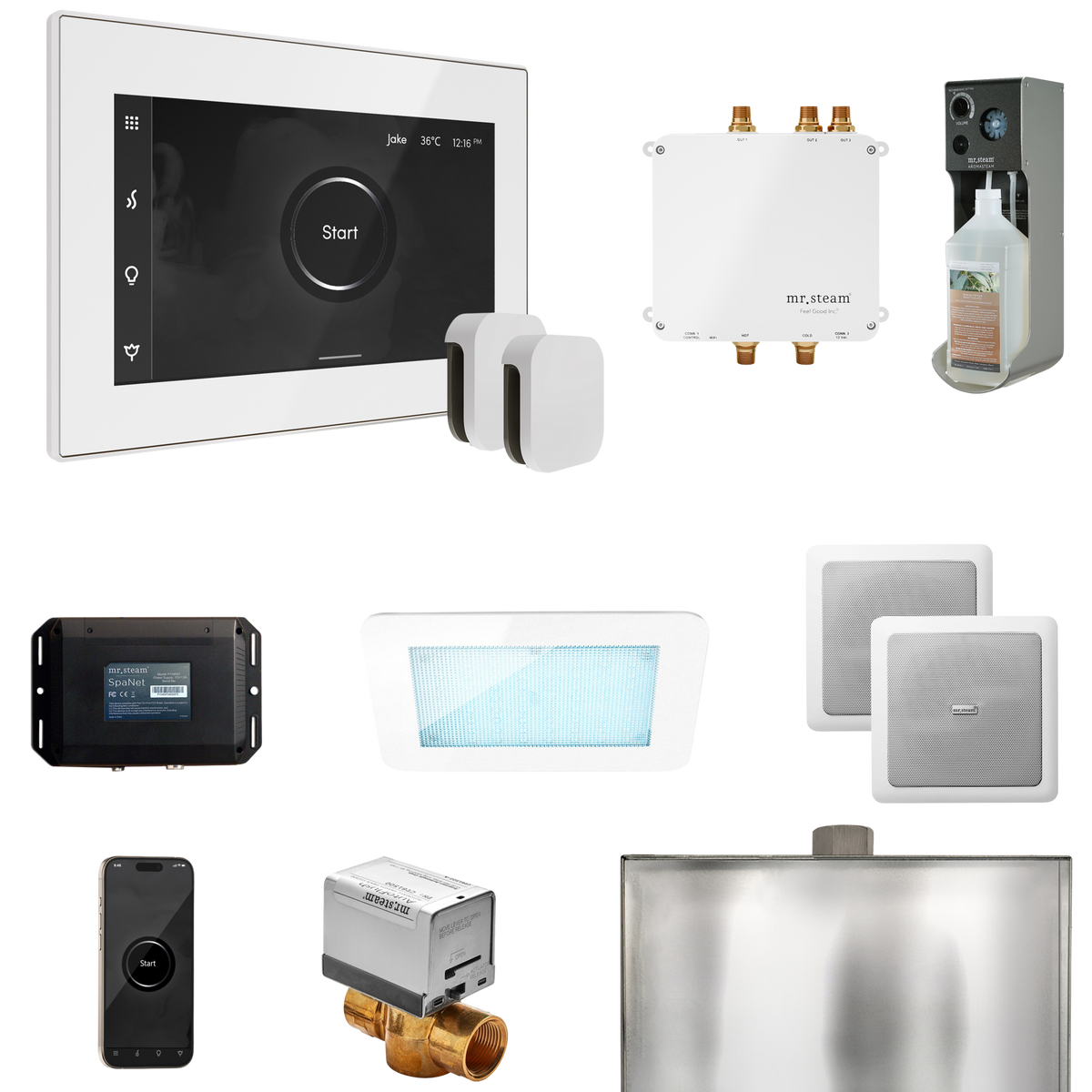 Mr. Steam Bliss Max Steam Shower Control Package with iSteamX Control and Steamhead Mr. Steam