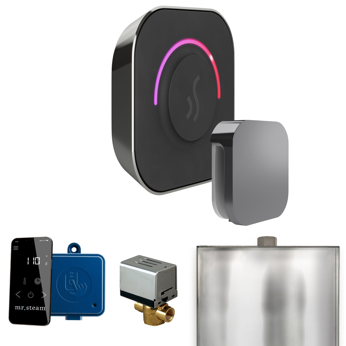 Mr. Steam ButlerTouch Steam Shower Control Package with TempoTouch Control and Steamhead Mr. Steam