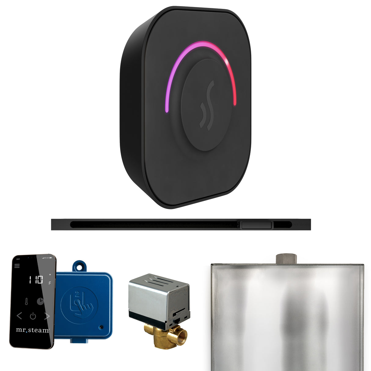 Mr. Steam ButlerTouch Steam Shower Control Package with TempoTouch Control and Linear Steamhead Mr. Steam