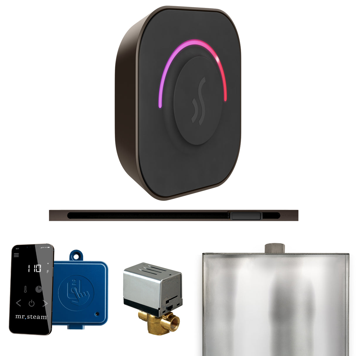 Mr. Steam ButlerTouch Steam Shower Control Package with TempoTouch Control and Linear Steamhead Mr. Steam