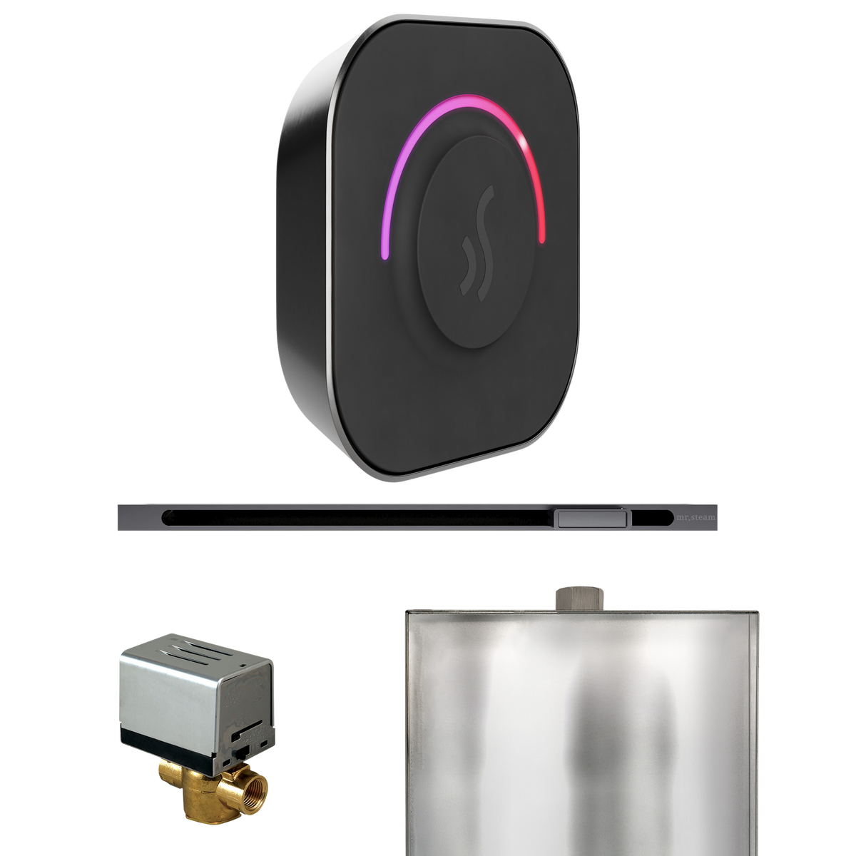 Mr. Steam ButlerTouch Steam Shower Control Package with TempoTouch Control and Linear Steamhead Mr. Steam