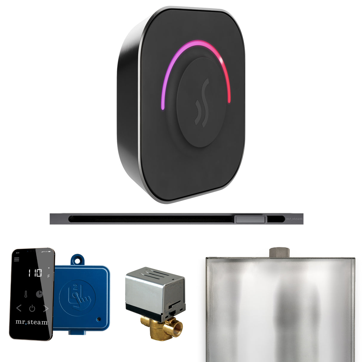 Mr. Steam ButlerTouch Steam Shower Control Package with TempoTouch Control and Linear Steamhead Mr. Steam
