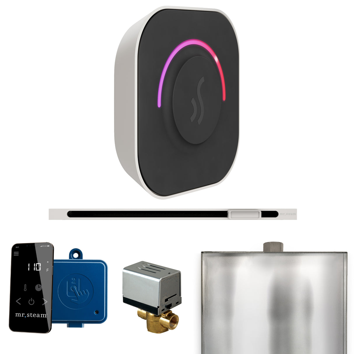 Mr. Steam ButlerTouch Steam Shower Control Package with TempoTouch Control and Linear Steamhead Mr. Steam