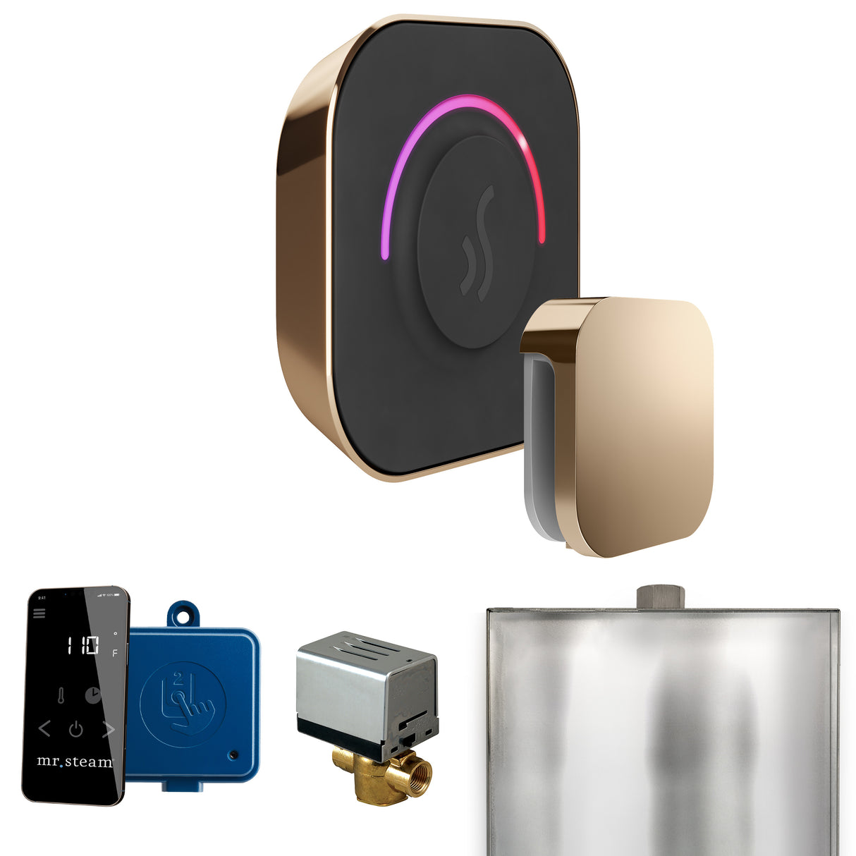 Mr. Steam ButlerTouch Steam Shower Control Package with TempoTouch Control and Steamhead Mr. Steam