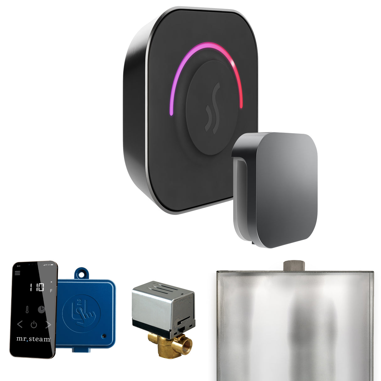 Mr. Steam ButlerTouch Steam Shower Control Package with TempoTouch Control and Steamhead Mr. Steam