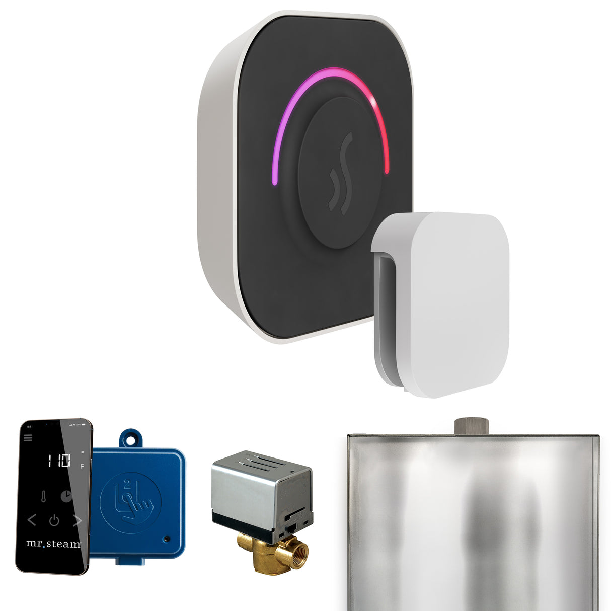 Mr. Steam ButlerTouch Steam Shower Control Package with TempoTouch Control and Steamhead Mr. Steam
