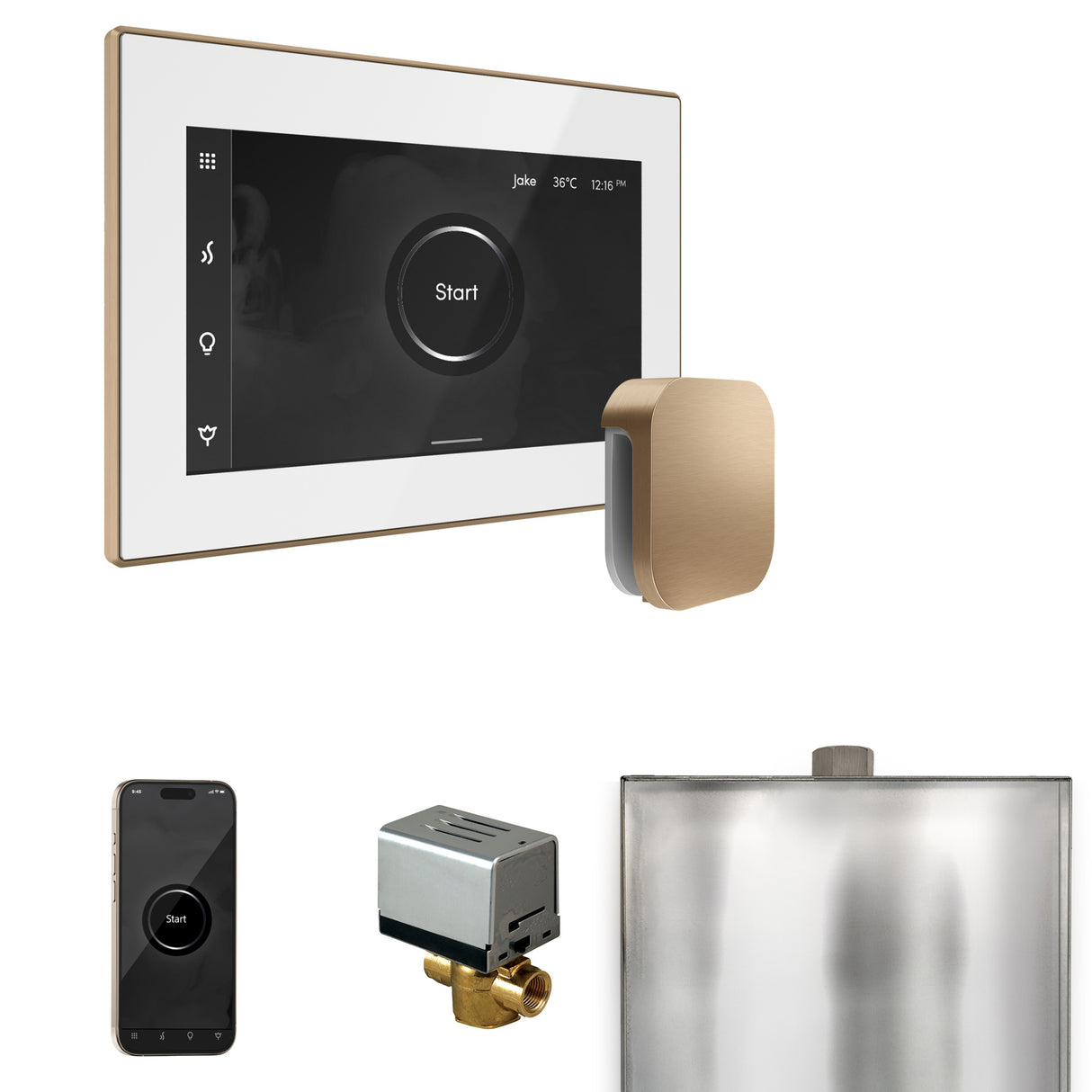 Mr. Steam XButler Steam Shower Control Package with iSteamX Control and Steamhead Mr. Steam