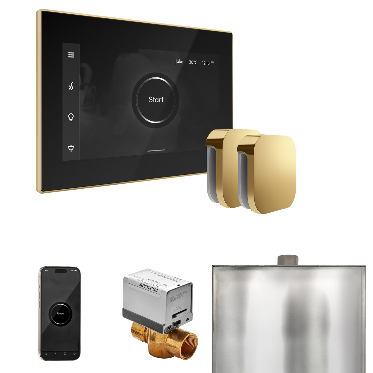 Mr. Steam XButler Steam Shower Control Package with iSteamX Control and Steamhead Mr. Steam