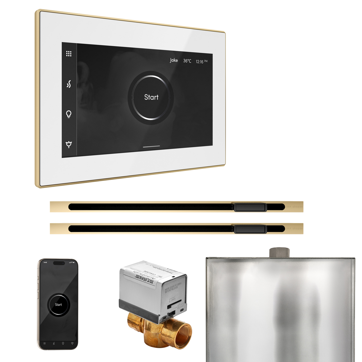 Mr. Steam XButler Max Steam Shower Control Package with iSteamX Control and Linear Steamhead Mr. Steam