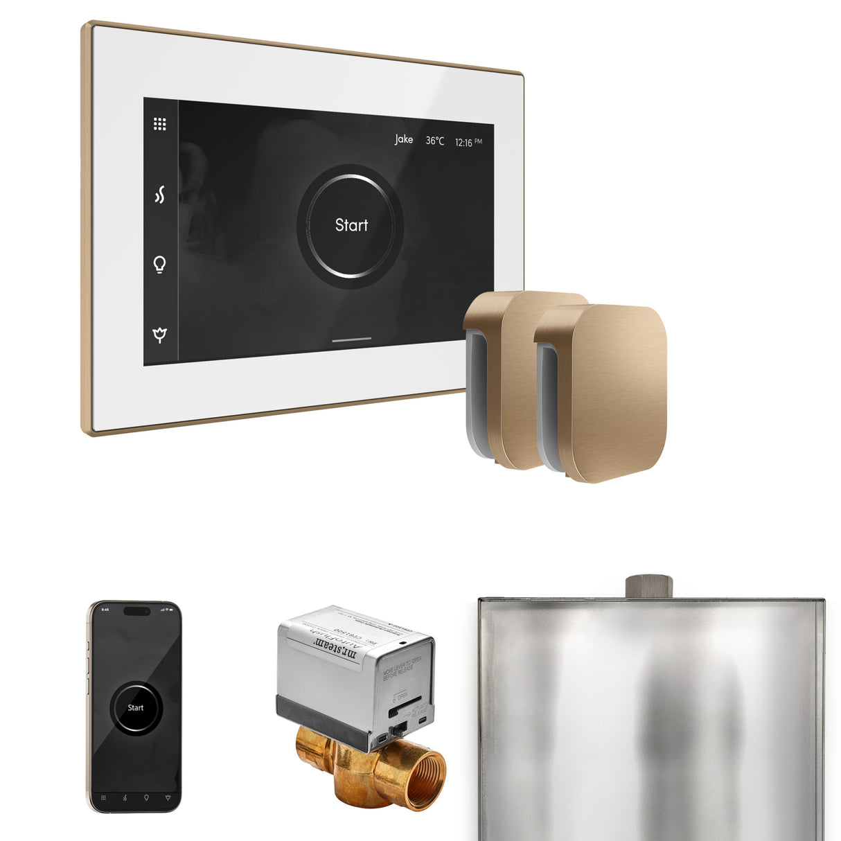 Mr. Steam XButler Steam Shower Control Package with iSteamX Control and Steamhead Mr. Steam