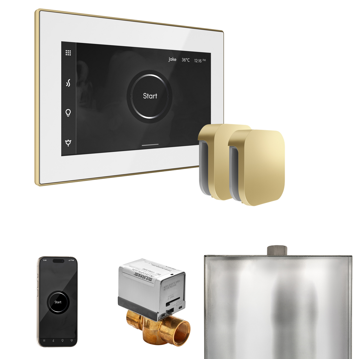 Mr. Steam XButler Steam Shower Control Package with iSteamX Control and Steamhead Mr. Steam