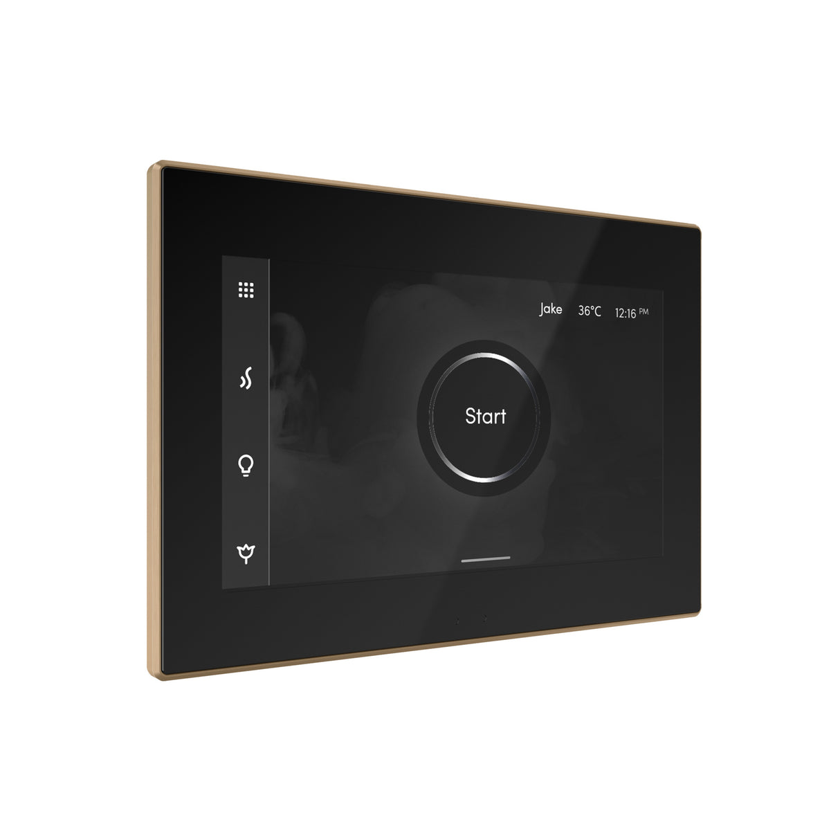 Mr. Steam iSteamX Steam Shower Control and Steamhead Mr. Steam