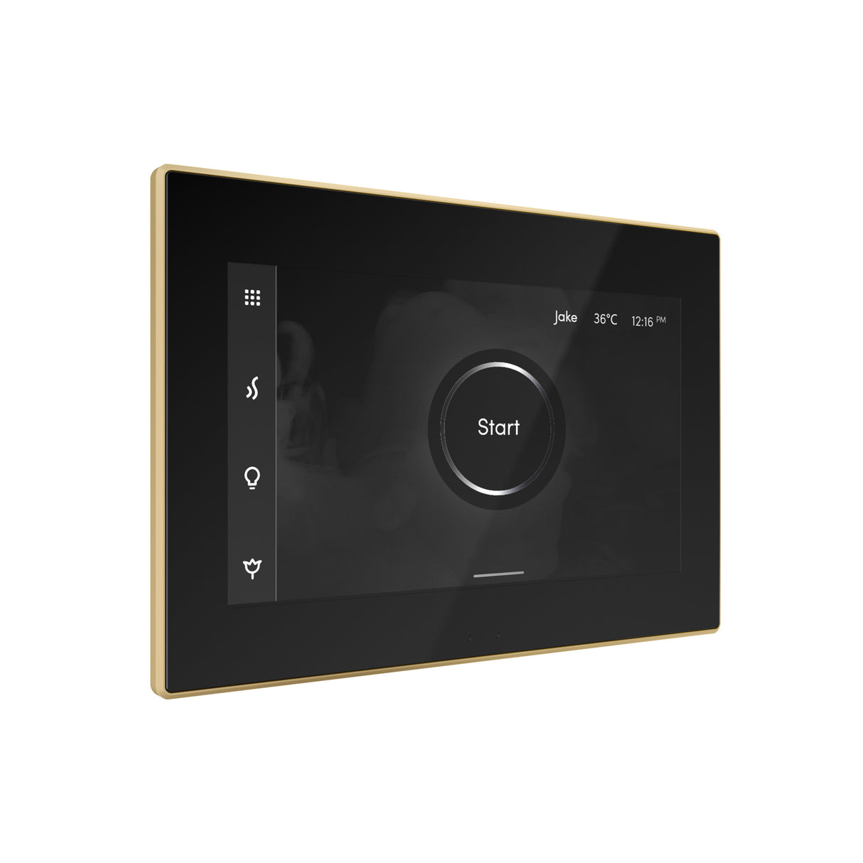 Mr. Steam iSteamX Steam Shower Control and Steamhead Mr. Steam