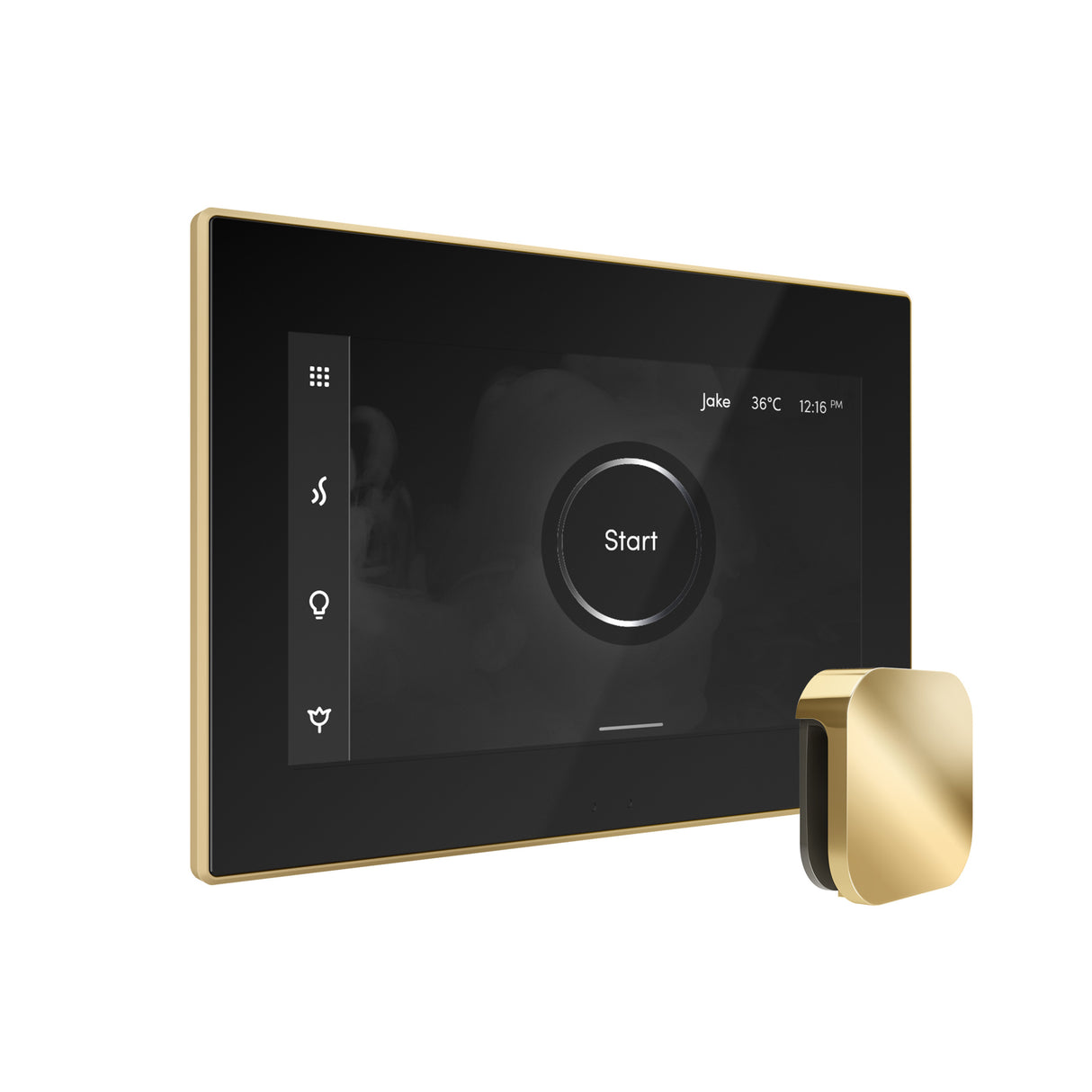 Mr. Steam iSteamX Steam Shower Control and Steamhead Mr. Steam