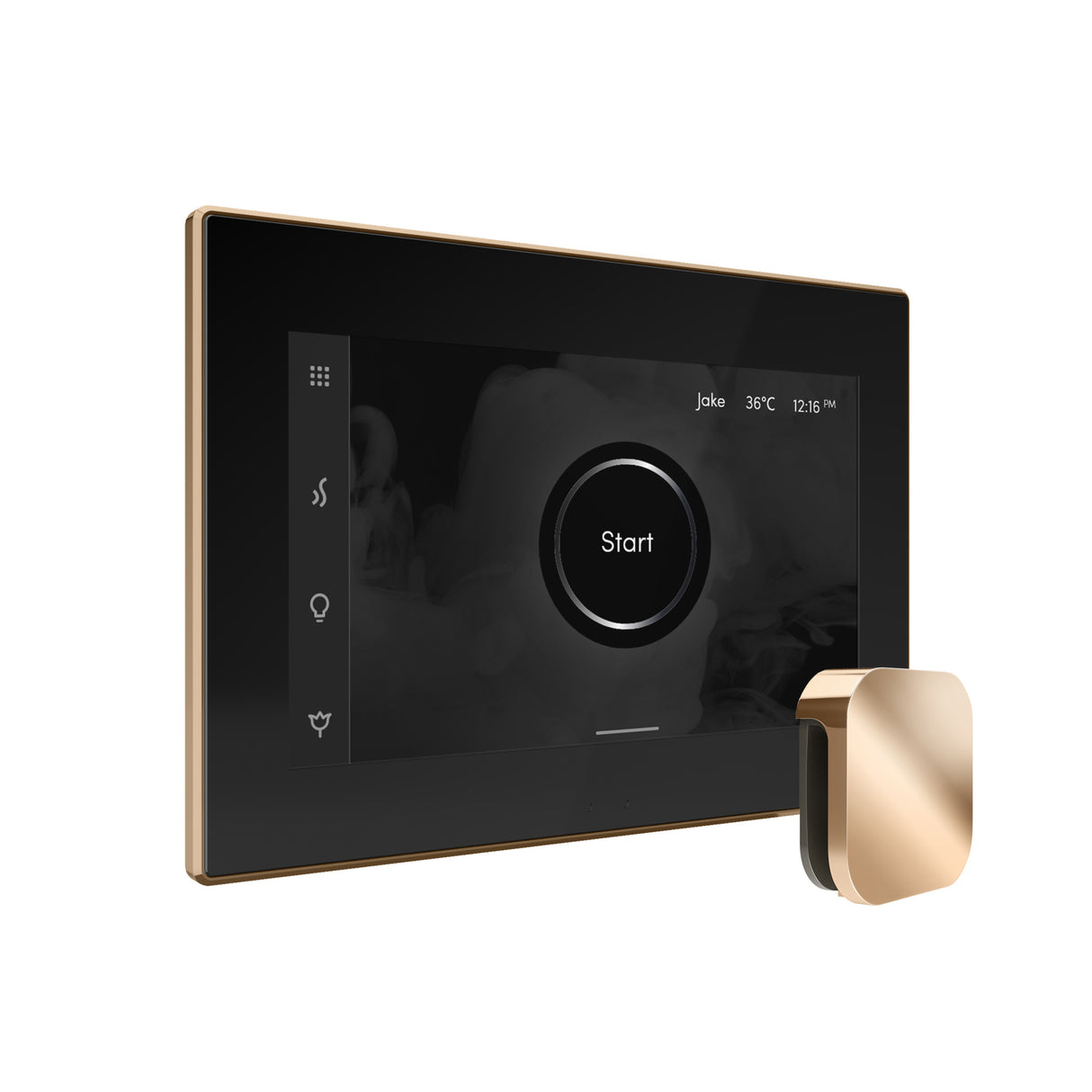 Mr. Steam iSteamX Steam Shower Control and Steamhead Mr. Steam