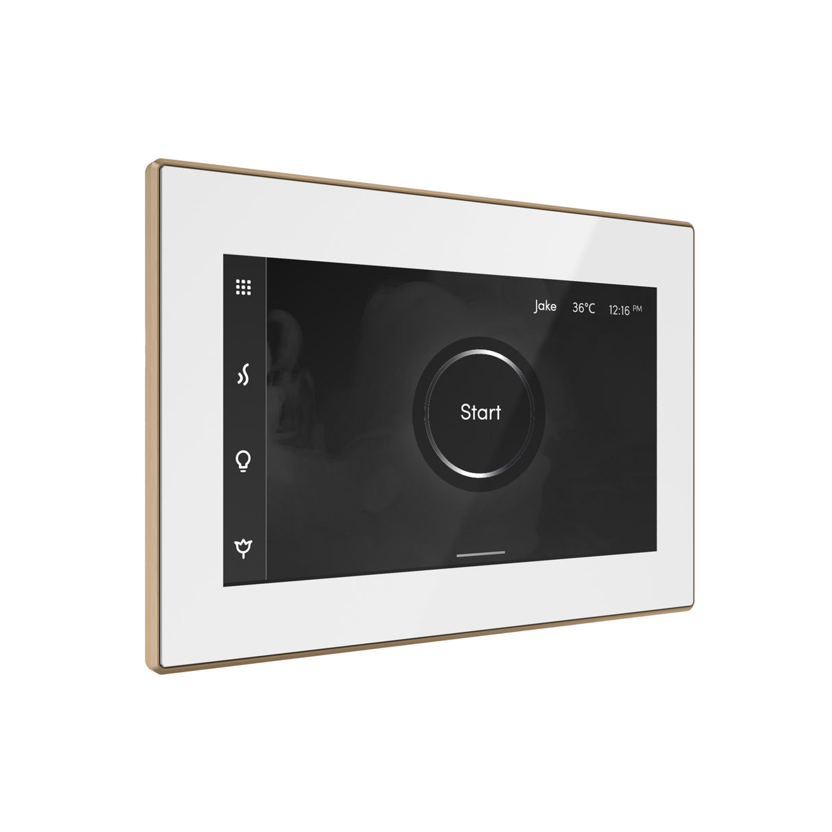 Mr. Steam iSteamX Steam Shower Control and Steamhead Mr. Steam