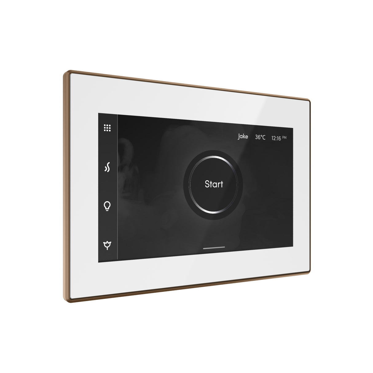 Mr. Steam iSteamX Steam Shower Control and Steamhead Mr. Steam