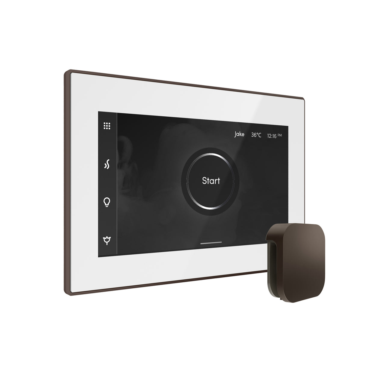 Mr. Steam iSteamX Steam Shower Control and Steamhead Mr. Steam