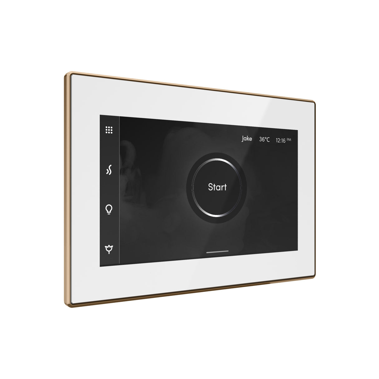 Mr. Steam iSteamX Steam Shower Control and Steamhead Mr. Steam