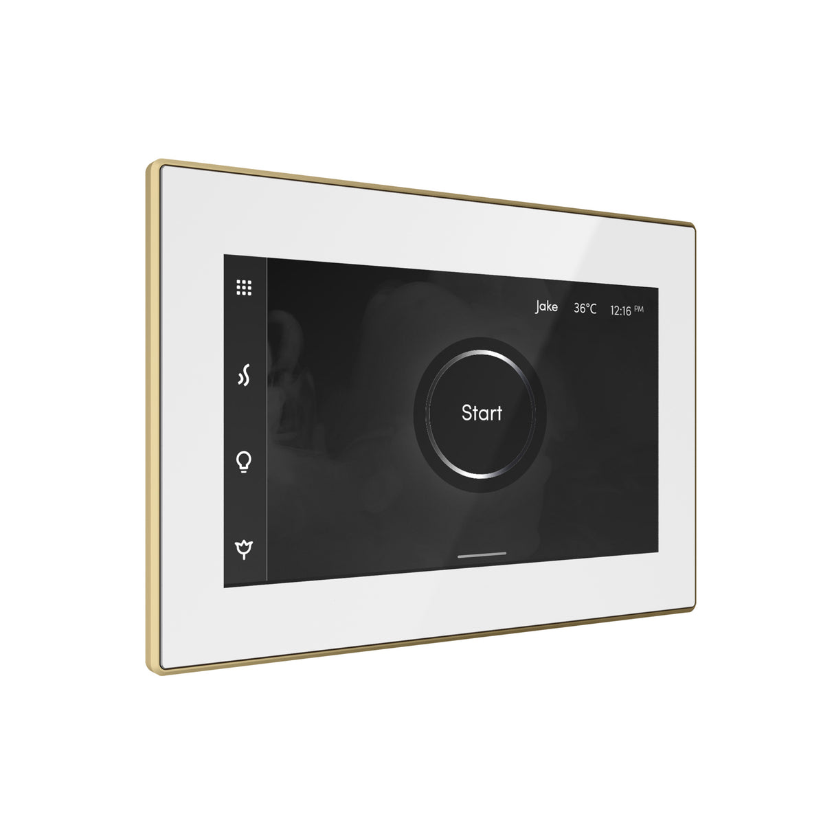 Mr. Steam iSteamX Steam Shower Control and Steamhead Mr. Steam