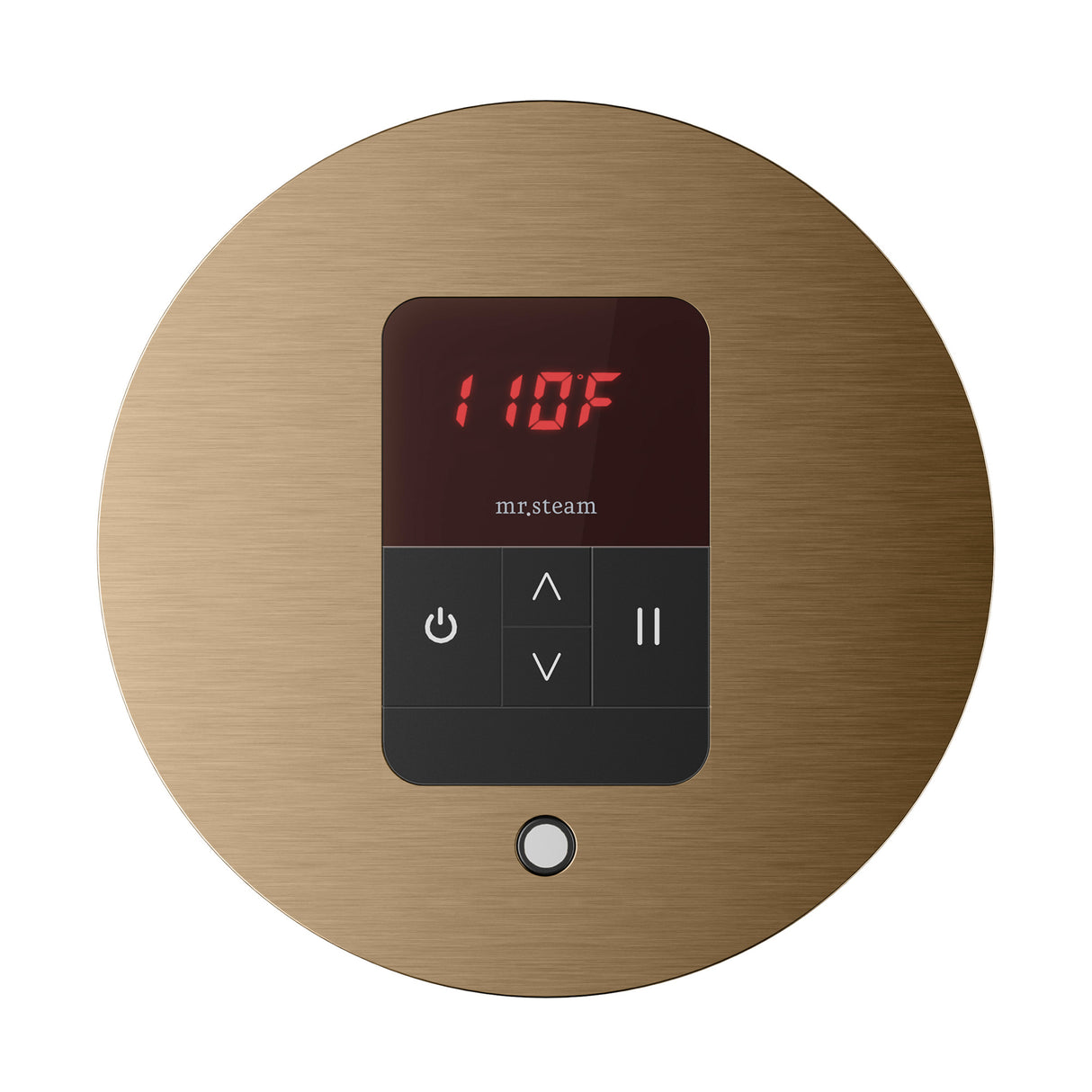 Mr. Steam iTempo Round Steam Shower Control and Steamhead Mr. Steam