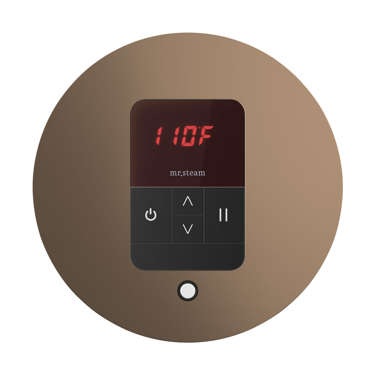 Mr. Steam iTempo Round Steam Shower Control and Steamhead Mr. Steam