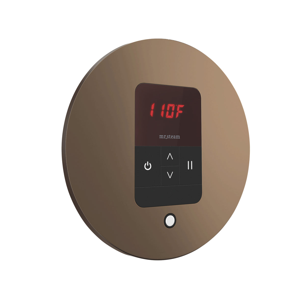 Mr. Steam iTempo Round Steam Shower Control and Steamhead Mr. Steam