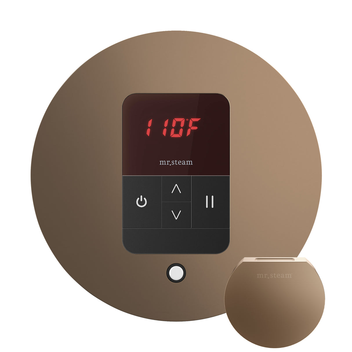 Mr. Steam iTempo Round Steam Shower Control and Steamhead Mr. Steam