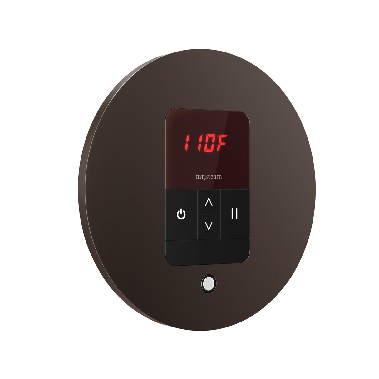 Mr. Steam iTempo Round Steam Shower Control and Steamhead Mr. Steam