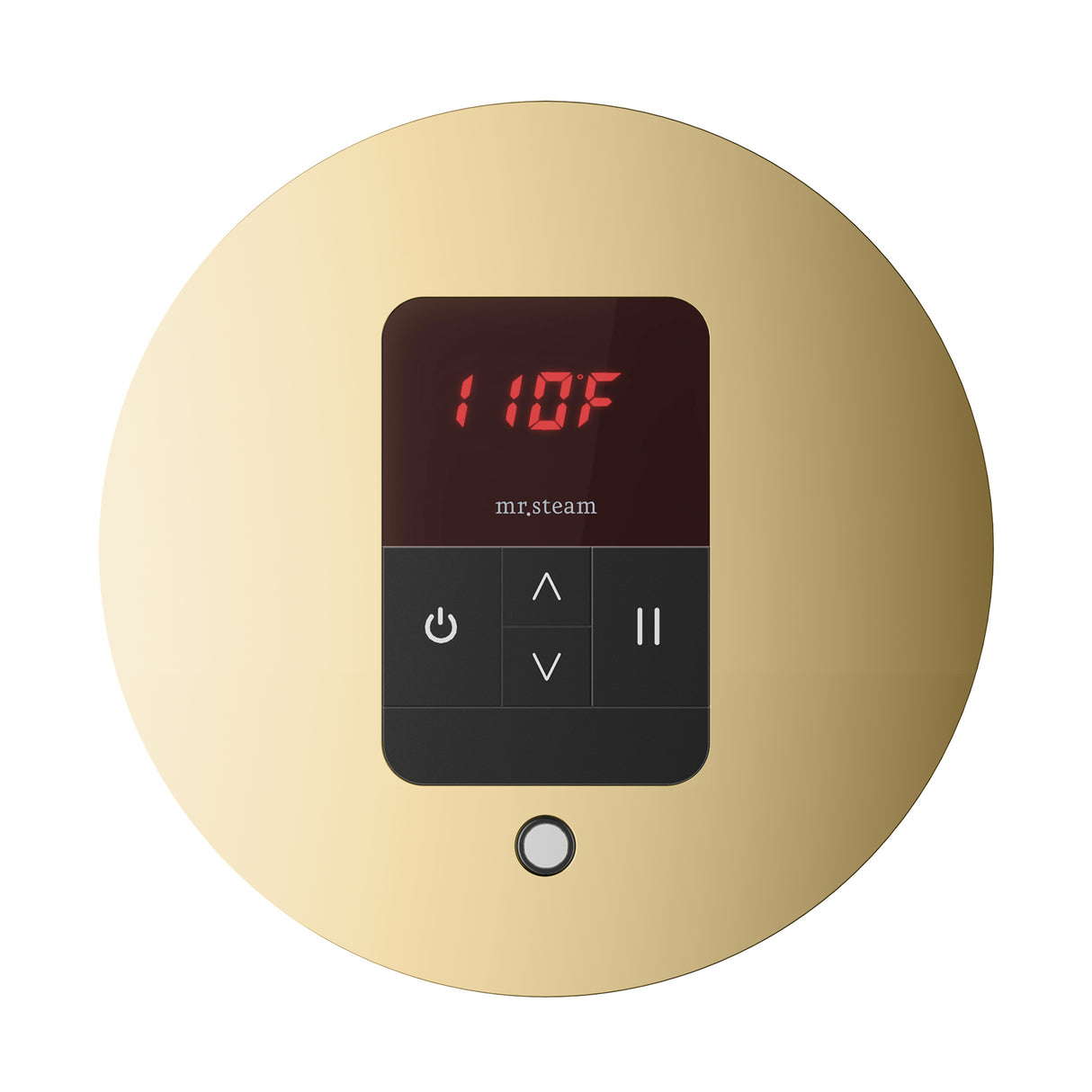 Mr. Steam iTempo Round Steam Shower Control and Steamhead Mr. Steam