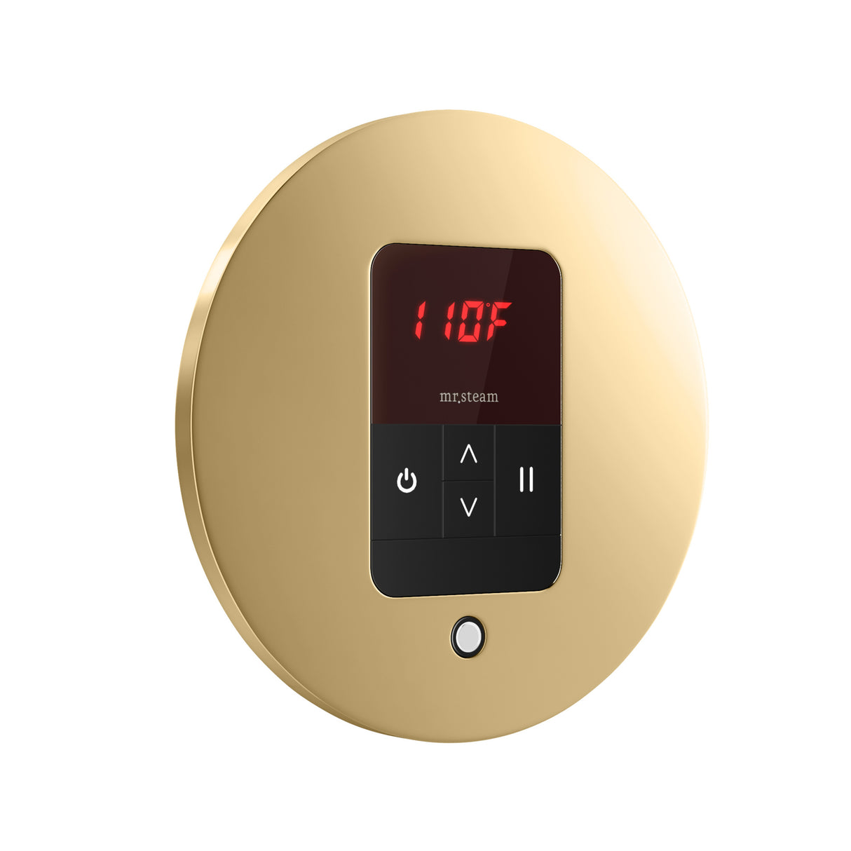 Mr. Steam iTempo Round Steam Shower Control and Steamhead Mr. Steam