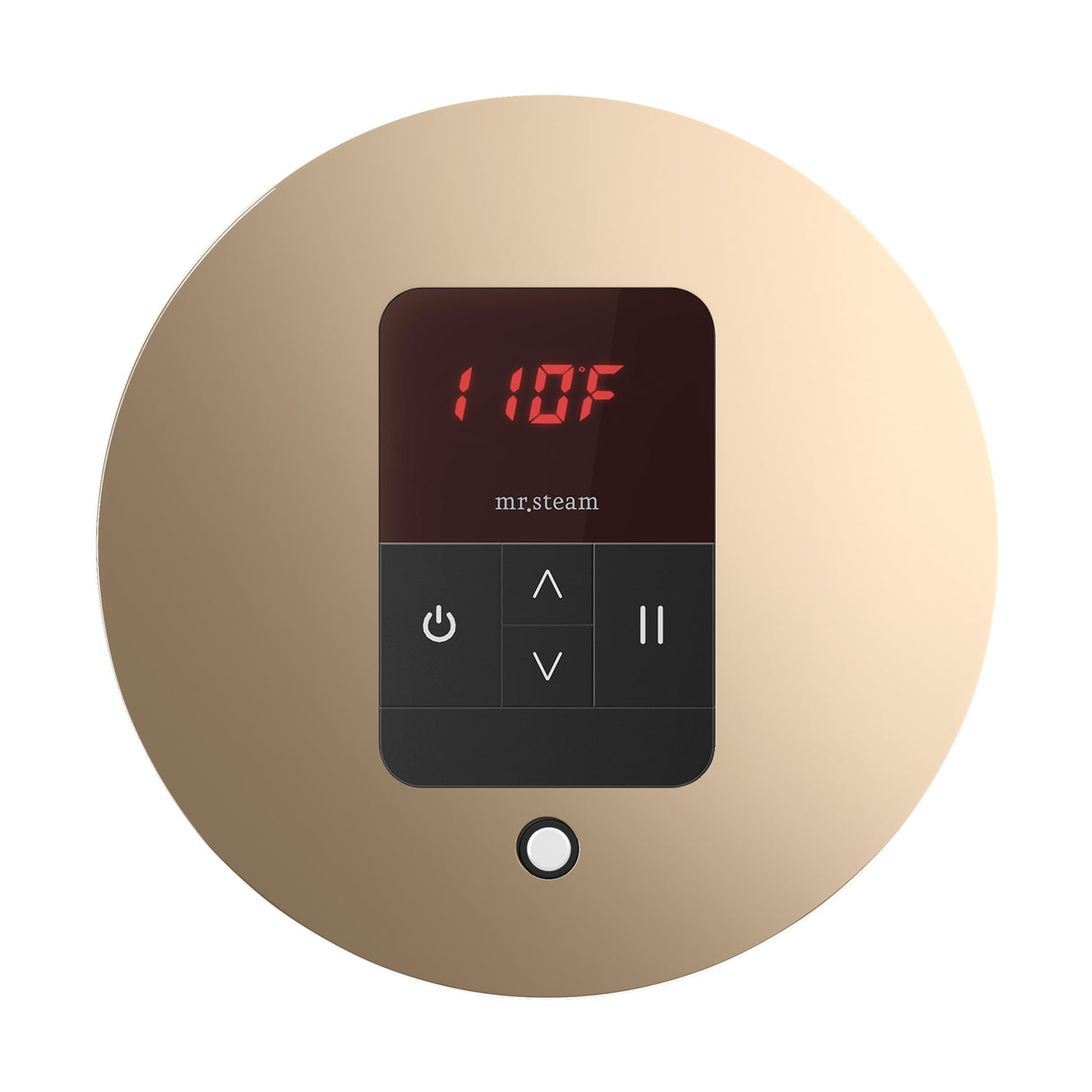 Mr. Steam iTempo Round Steam Shower Control and Steamhead Mr. Steam