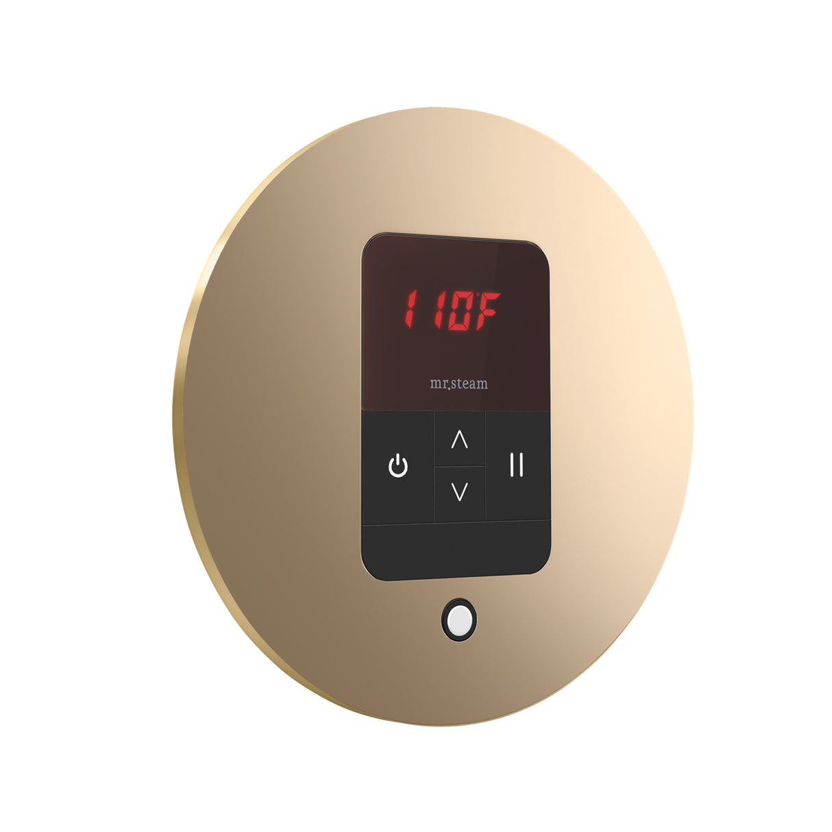 Mr. Steam iTempo Round Steam Shower Control and Steamhead Mr. Steam